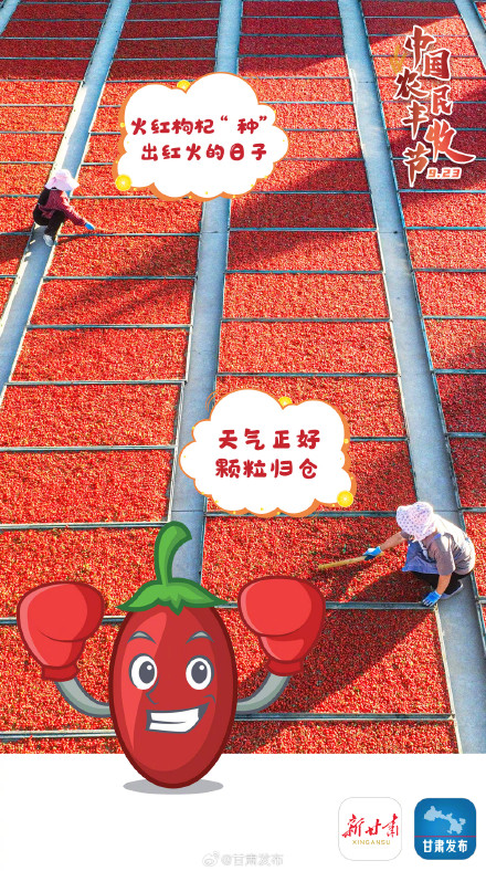 丰收佳节，不负好“食”光