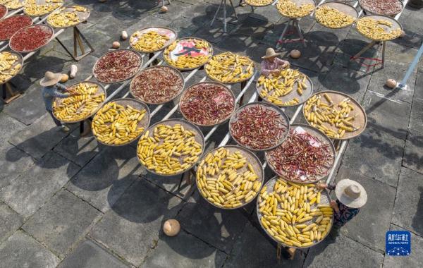 “飞阅”秋收“好丰景” |皖南古村“晒秋” “飞阅”秋收“好丰景” |皖南古村“晒秋”