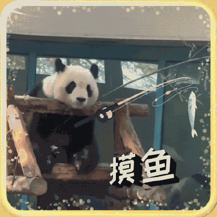 萌翻啦！大熊猫表情包最新出炉