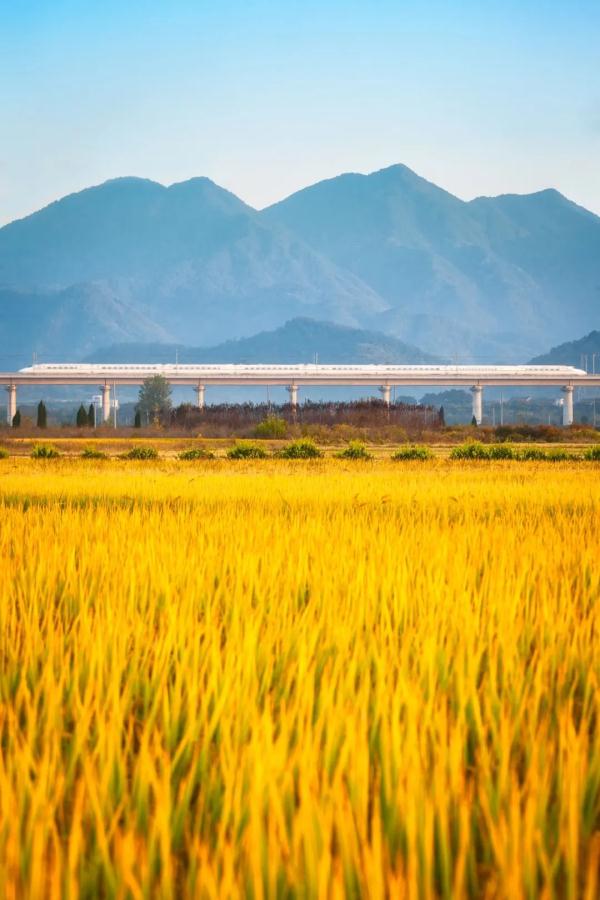 今天14时50分！正式进入！