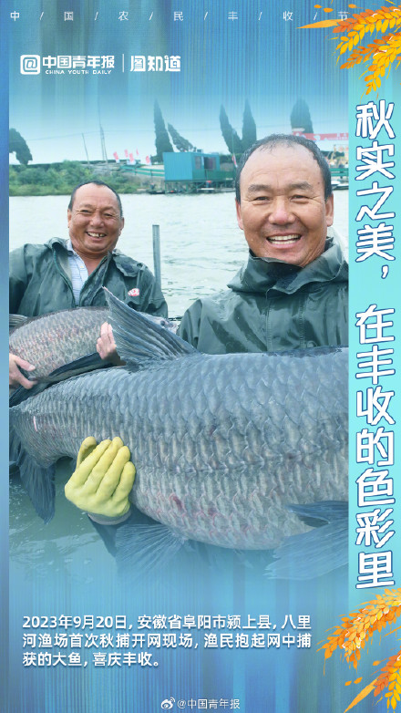 秋实之美，在丰收的色彩里