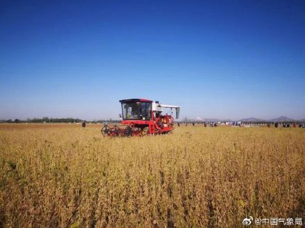 秋分至！又是一年好“丰”景