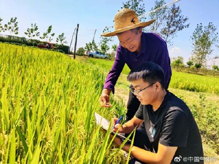 秋分至！又是一年好“丰”景
