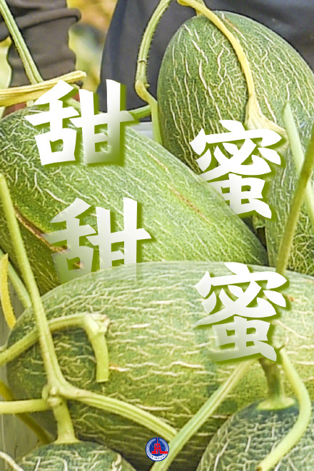 多彩丰收壁纸来了