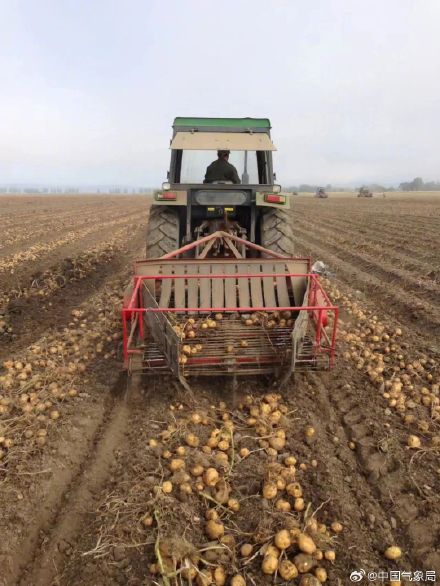 秋分至！又是一年好“丰”景