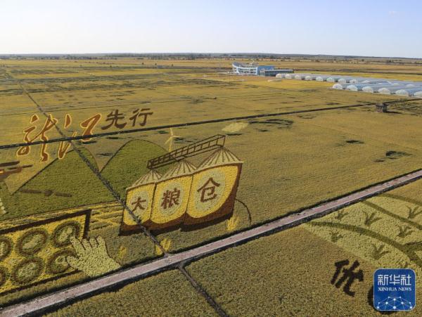 黑龙江:稻“画”香里说丰年 黑龙江:稻“画”香里说丰年
