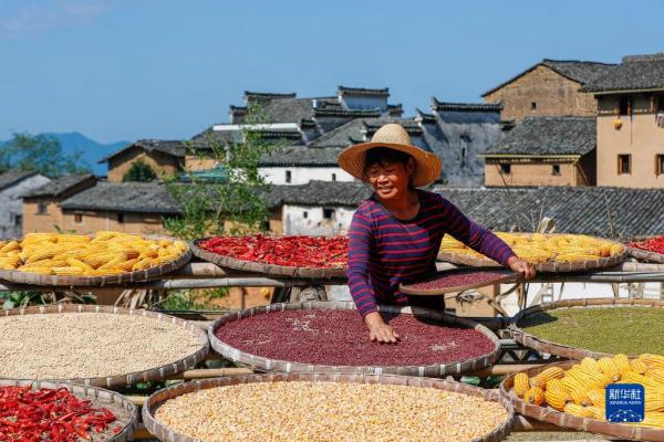 “飞阅”秋收“好丰景” |皖南古村“晒秋” “飞阅”秋收“好丰景” |皖南古村“晒秋”