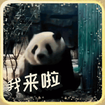 萌翻啦！大熊猫表情包最新出炉