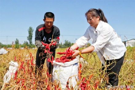 秋分至！又是一年好“丰”景