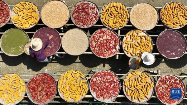 “飞阅”秋收“好丰景” |皖南古村“晒秋” “飞阅”秋收“好丰景” |皖南古村“晒秋”