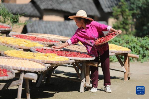 “飞阅”秋收“好丰景” |皖南古村“晒秋” “飞阅”秋收“好丰景” |皖南古村“晒秋”