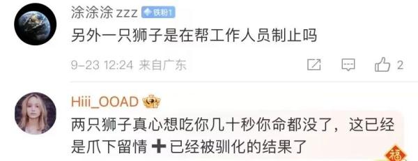 惊险！马戏团狮子撕咬工作人员，观众尖叫逃散……现场画面曝光