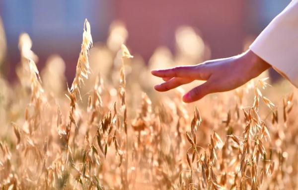 秋分来了！今年的秋分有3个特点，秋分过后养生有一个重点！