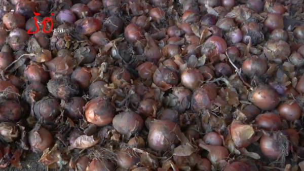 偷别人家毛葱去早市卖？一个很少见的香烟品牌“出卖”了他