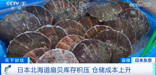 日本第二轮核污水排海即将启动,总量或达... 日本第二轮核污水排海即将启动,总量或达...