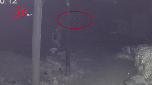 偷别人家毛葱去早市卖？一个很少见的香烟品牌“出卖”了他