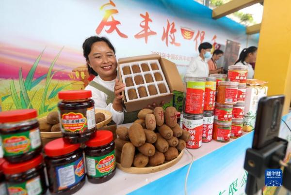 贵州修文猕猴桃丰收上市