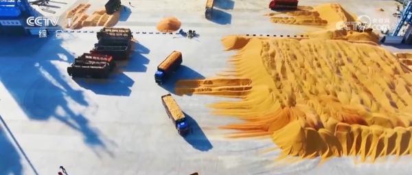 小玉米“七十二变” 为农业高质量发展铺就“黄金路” 小玉米“七十二变” 为农业高质量发展铺就“黄金路”