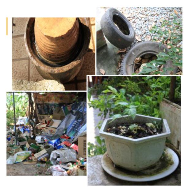 发病高峰期！深圳风险等级为“中”！中疾控紧急提醒→