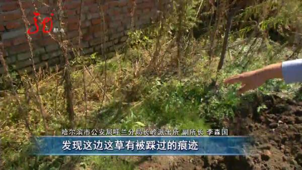 偷别人家毛葱去早市卖？一个很少见的香烟品牌“出卖”了他