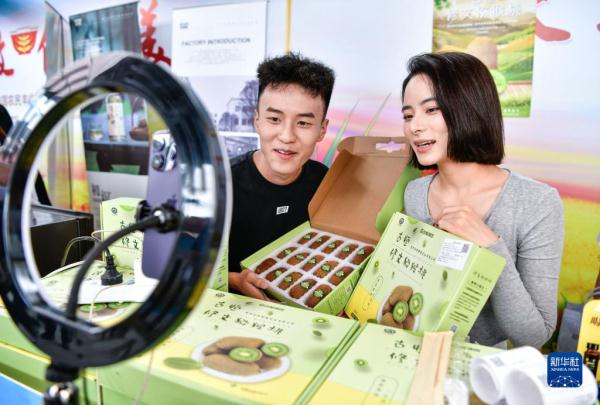 贵州修文猕猴桃丰收上市