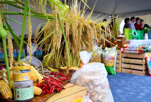 “农”墨重彩绘丰景——全国各地庆祝第六个中国农民丰收节 “农”墨重彩绘丰景——全国各地庆祝第六个中国农民丰收节