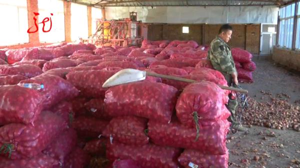 偷别人家毛葱去早市卖？一个很少见的香烟品牌“出卖”了他