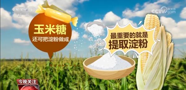 小玉米“七十二变” 为农业高质量发展铺就“黄金路” 小玉米“七十二变” 为农业高质量发展铺就“黄金路”