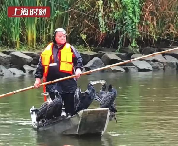 太馋人了!沪一高校捕鱼1300余斤,食堂大摆"全鱼宴" 太馋人了!沪一高校捕鱼1300余斤,食堂大摆"全鱼宴"