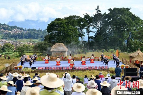 云南红河:哈尼梯田稻香四溢迎丰收 云南红河:哈尼梯田稻香四溢迎丰收