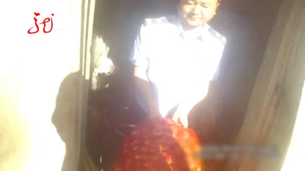 偷别人家毛葱去早市卖？一个很少见的香烟品牌“出卖”了他