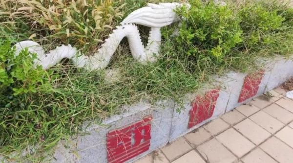 全部拆除!北京西城区一大厦楼顶藏着8处违建:假山、绿植、阳光房…… 全部拆除!北京西城区一大厦楼顶藏着8处违建:假山、绿植、阳光房……