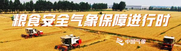 首次！玉米、大豆分布卫星遥感图服务秋粮产量预测