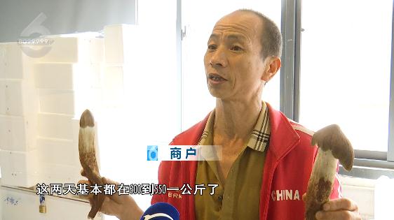 抓紧时间!云南人爱吃的它要“落潮”了,价格已涨 抓紧时间!云南人爱吃的它要“落潮”了,价格已涨