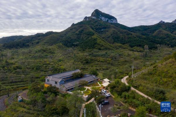 改革故事｜“麻雀小学”领头雁：36年坚守见证乡村教育巨变