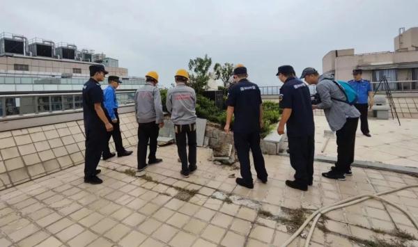 全部拆除!北京西城区一大厦楼顶藏着8处违建:假山、绿植、阳光房…… 全部拆除!北京西城区一大厦楼顶藏着8处违建:假山、绿植、阳光房……