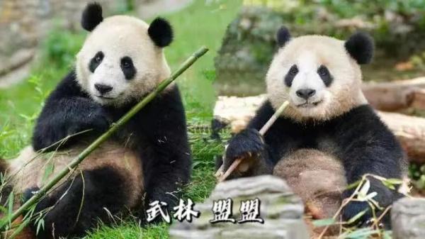 刚刚官宣！武汉动物园开园时间确定