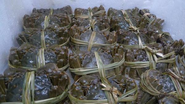 2023年黄河口大闸蟹开捕上市