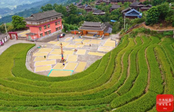 镜头丨农家晒秋忙 镜头丨农家晒秋忙