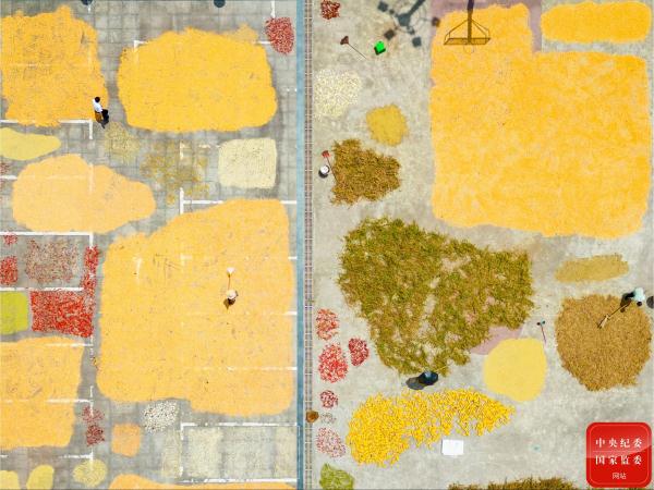 镜头丨农家晒秋忙 镜头丨农家晒秋忙