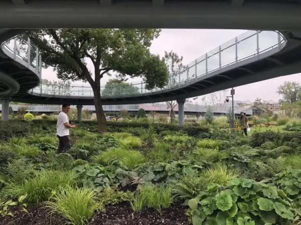 好消息!上海植物园北区即将开放!9月28日起免收大门票 好消息!上海植物园北区即将开放!9月28日起免收大门票