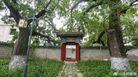 北京再添一处古树校园,校园内分布21株古树 北京再添一处古树校园,校园内分布21株古树