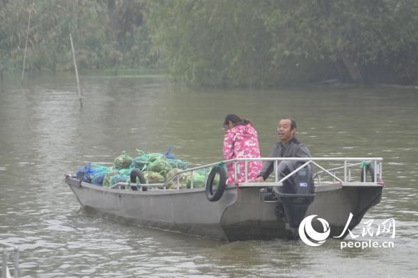 微山湖大闸蟹陆续开捕 蟹农迎来金秋忙碌季