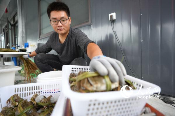 微山湖大闸蟹陆续开捕 蟹农迎来金秋忙碌季