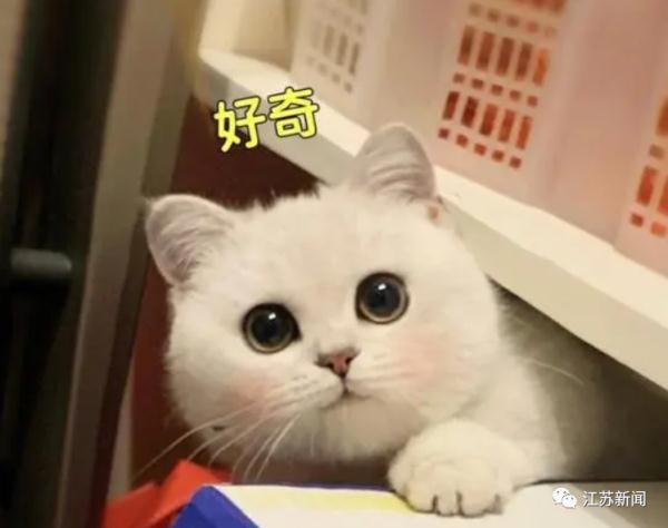 当中秋遇上“超级月亮”，赏月胜地在哪里？地图来了→