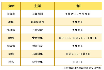 长假来广州动物园看小熊猫宝宝