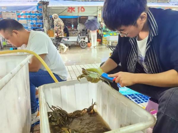 离谱！阳澄湖刚开捕，蟹卡就37天内提不了货？专家详解“纸螃蟹”乱象→