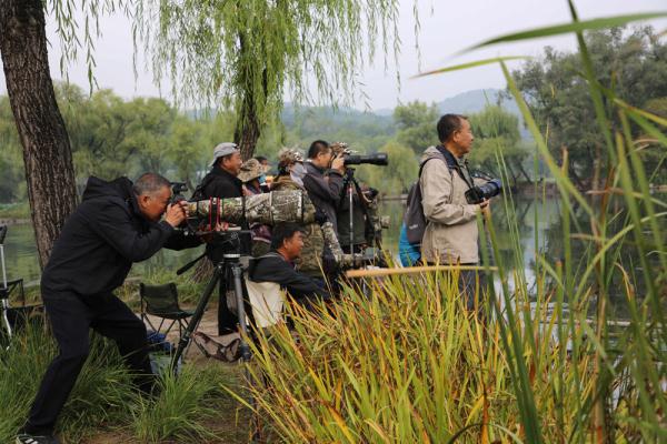 河北承德：避暑山庄美景引游人