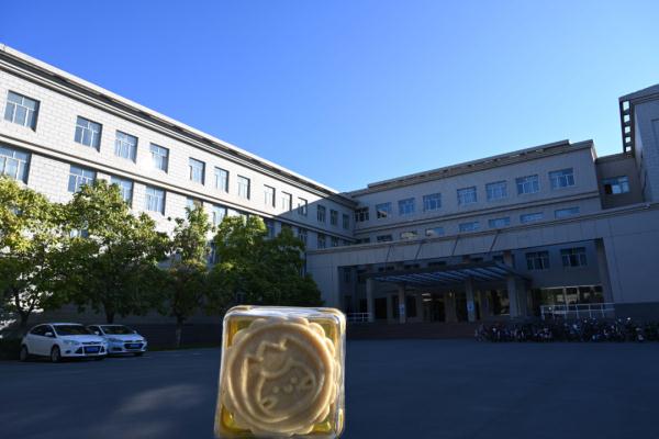 中秋节切超大月饼？！“快告诉我去哪里排队？”