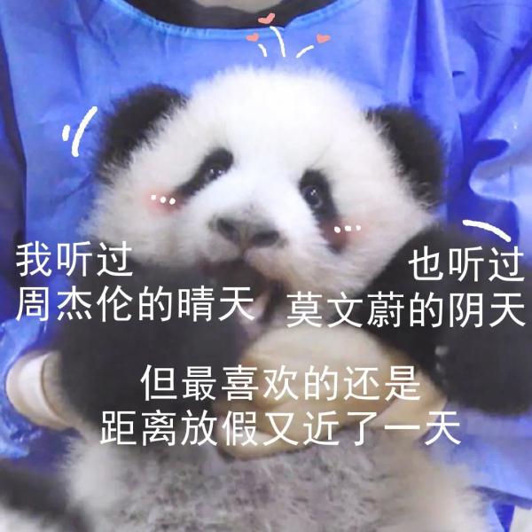 假期前最后一天，你是什么状态？